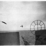 German aircraft seen from HMS Ledbury